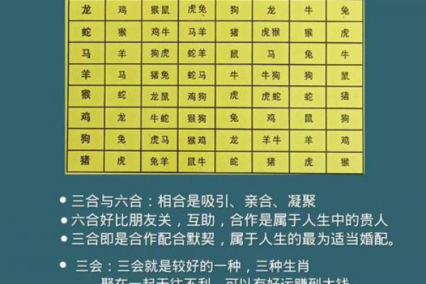 八字十二地支六冲详解