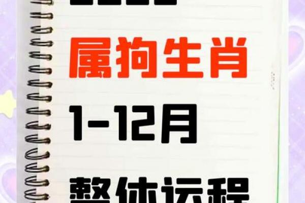 2026年属狗者将迎来三大吉运