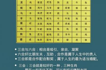八字十二地支六冲详解