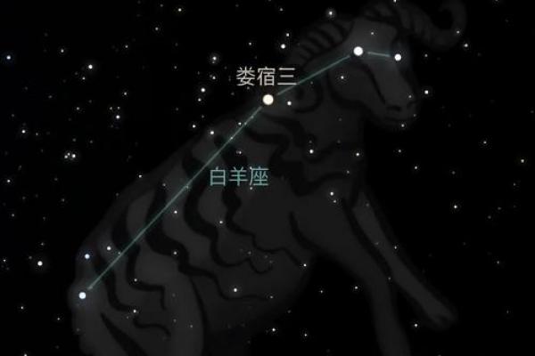 白羊座男性2026年完整运势
