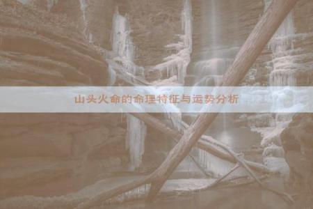 1995年山头火命运势如何