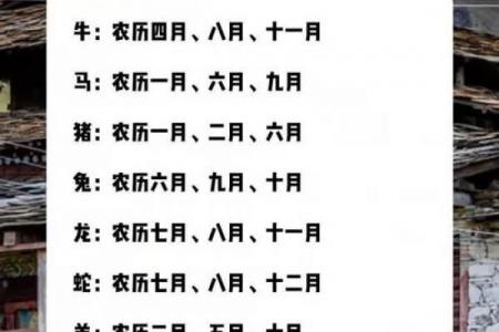 2020鼠年最尊贵出生时辰