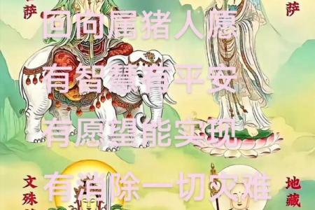 属猪人最宜远离之人