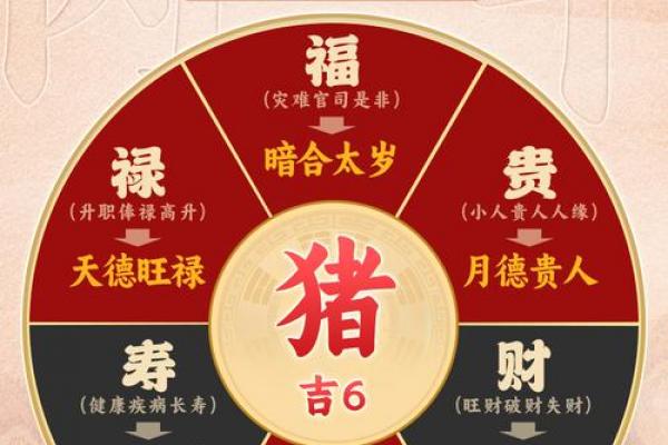 2026丙午年属猪者需避开哪些禁忌