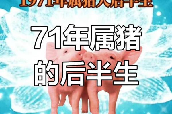 1983年属猪是命苦还是命富
