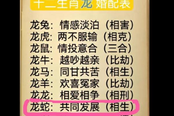 两口子都属龙的婚姻配对分析