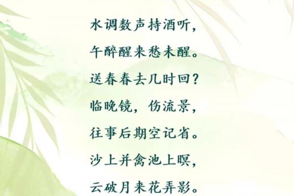 子时降生乃何仙下凡