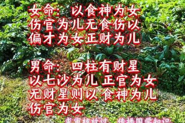 屋上土命女孩的命运分析