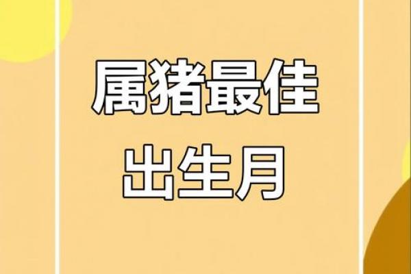 2026年属猪者最佳搬家月份推荐