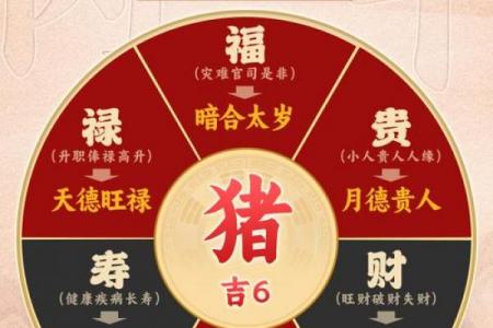 2026丙午年属猪者需避开哪些禁忌