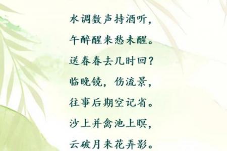 子时降生乃何仙下凡
