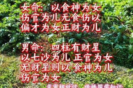 屋上土命女孩的命运分析