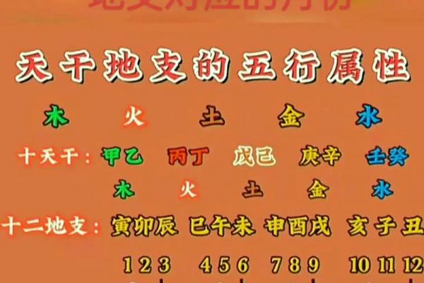 日干组合分析 揭秘你的先天命格与运势走向