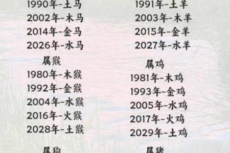 日干健康状况怎么看 十二生肖的五行体质与防病指南