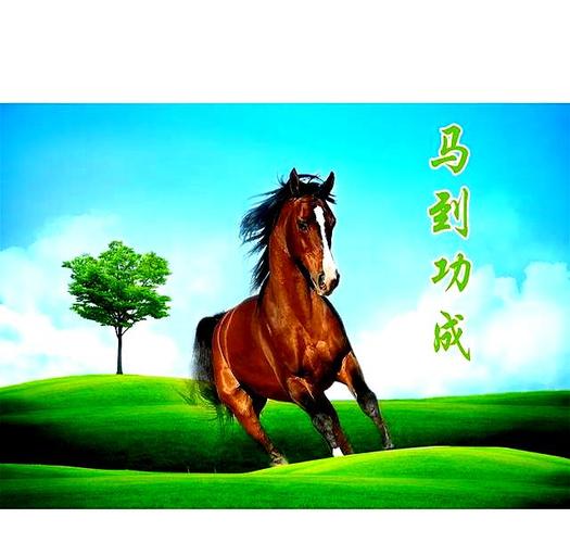 马男情感运势分析_2026年马男桃花运爆棚_2026年马男桃花运爆棚