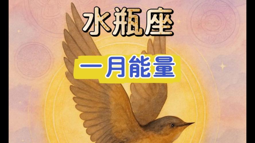 水瓶座2026年感情运势分析_水瓶座2026年运势_水瓶座的人