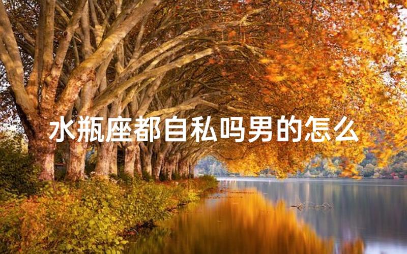 水瓶座男生的性格深度解析：理性又自由的谜样男人