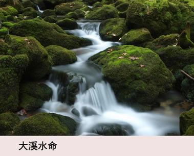 水鼠命与涧下水命相合吗_大溪水命与水鼠命配对分析_水鼠命和大溪水命相合吗