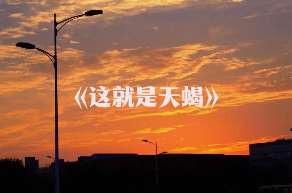 天蝎座相处密码_天蝎座情感分析_天蝎座爱情观