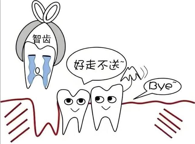 梦见自己掉了一颗下牙的寓意，这一梦境暗示的健康警示与生活启示