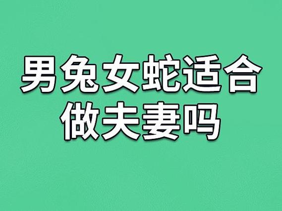 土蛇命和什么命最配_土蛇命最佳婚配属猴_土蛇命最佳婚配属牛