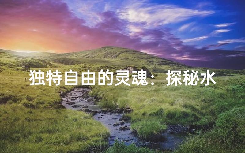 水瓶座职场表现_水瓶座的性格是怎么样的_水瓶座性格特点