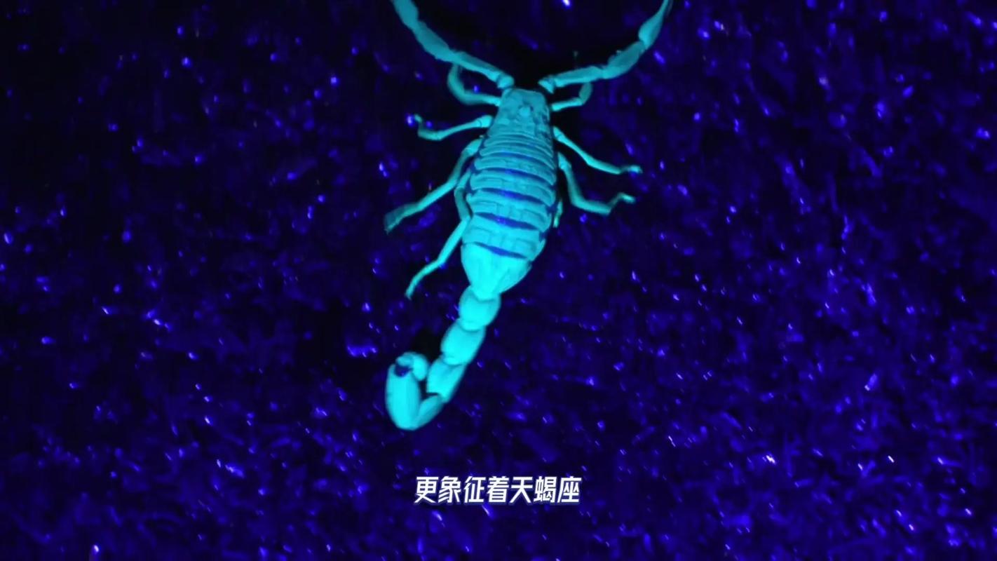 天蝎座象征符号起源传说_天蝎座象征符号含义_天蝎座象征符号