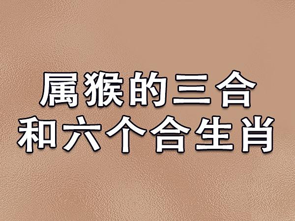 木猴命和什么属相最配？最好婚配的三大生肖来了