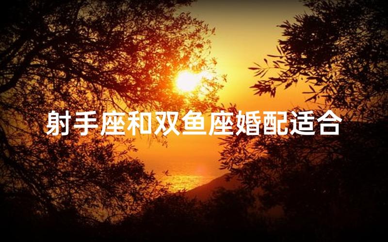 水与火的爱情碰撞_射手座男生与双鱼座女生配对_射手座男和双鱼座女适合做夫妻吗