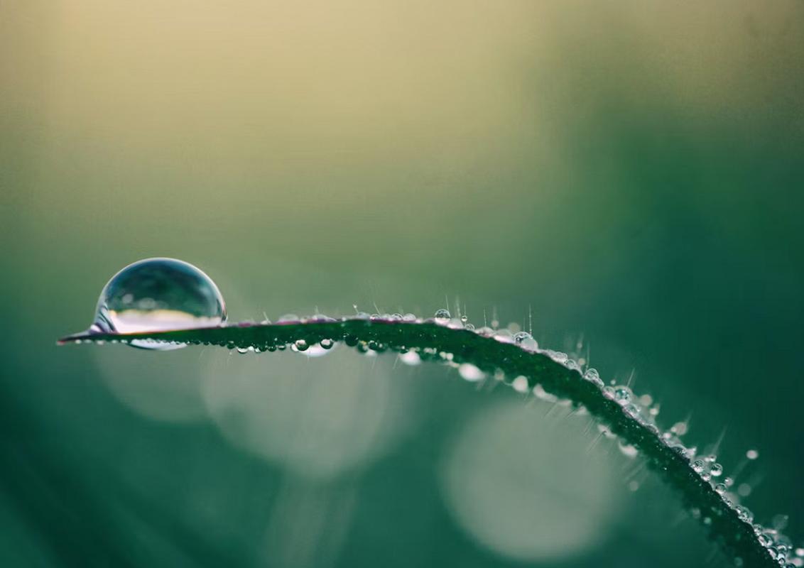 壬水癸水性格特点对比_十天干壬水癸水解析_十天干详解壬癸水