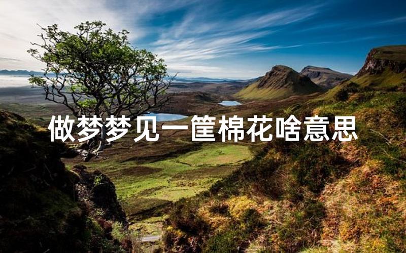 梦见棉花生长_梦见采摘棉花_梦见棉花