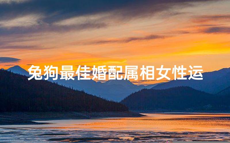 属兔女与六合生肖婚配_属兔女被谁呵护到老_属兔女与三合生肖婚配