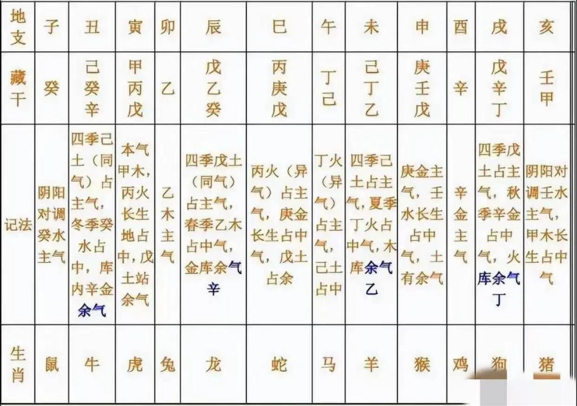 十二地支藏干详解_四正位藏干规律_十二地支藏干解说