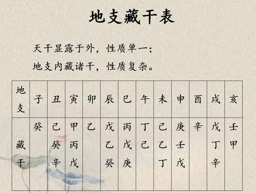 十二地支藏干详解_十二地支藏干解说_四正位藏干规律