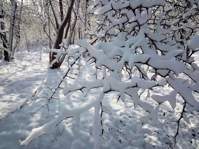 梦见下雪母亲去世 命理解梦 大雪预兆父母离世_母亲去世前我梦到下雪