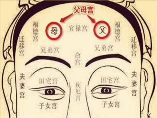 八字子女宫在哪 时柱看子女运