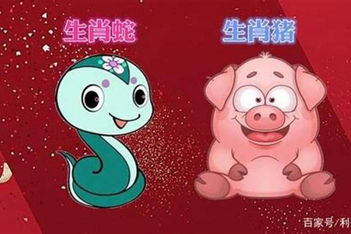 土蛇水猪相克原因_土蛇和水猪婚姻怎么样_土蛇水猪五行婚配
