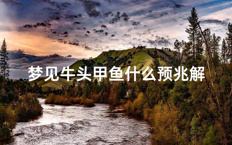 梦见有角黄牛生男生女_怀孕梦见牛是儿是女_怀孕梦见牛预示男孩女孩