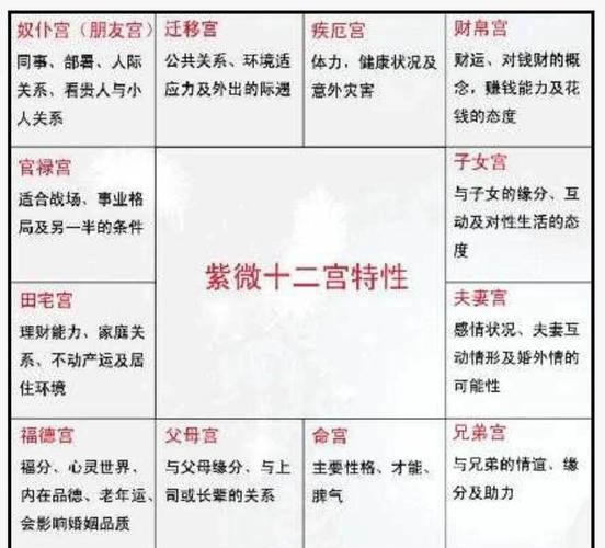 紫微斗数入门指南_十二宫位详解_紫微斗数基础入门