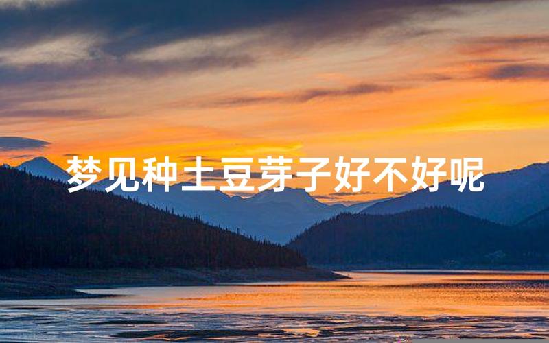女人梦见种土豆什么预兆 详解梦境寓意和行事指引