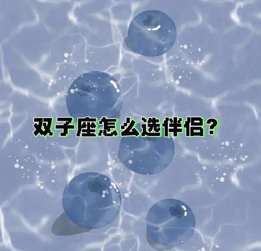 双子座的狮子座配对指数_双子座狮子座相处优势_双子座和狮子座的配对指数是多少