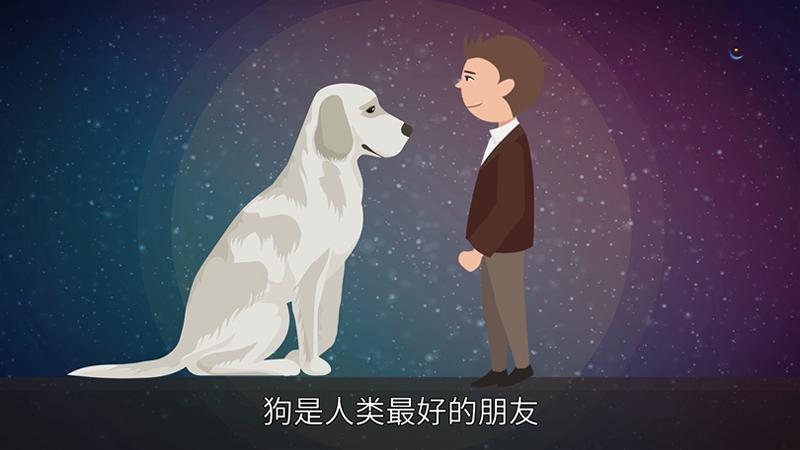 狗一生的恩人是谁 传统民俗命理视角解读