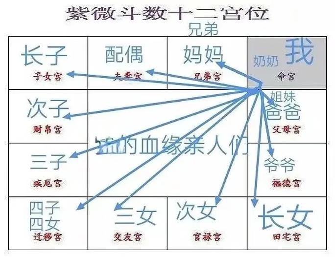 紫微斗数飞星实战入门技巧 看懂宫位互动规律摸清命理走向