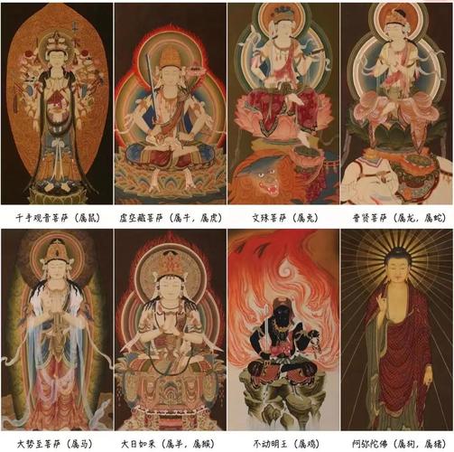命理节律对应契合元素_属蛇人护持力量_谁会保护属蛇人