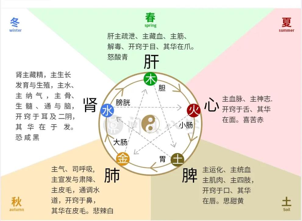 未土八字命理详解_十二地支未土详解_未土五行属性与实际应用