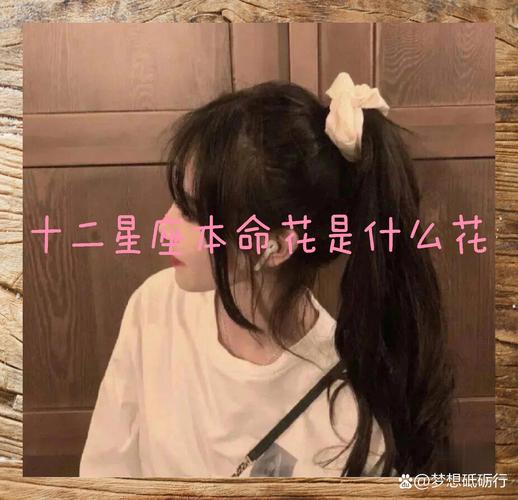 金牛座本命花_金牛座本命花 铃兰 虞美人风铃草康乃馨