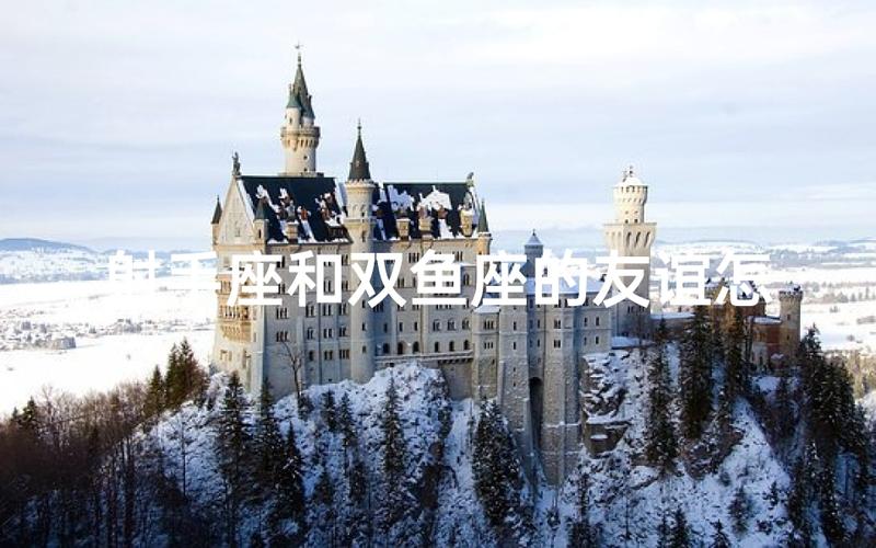 双鱼座男和射手座女配对指数_双鱼座男和射手座女默契度_双鱼座男和射手座女配对指数是多少