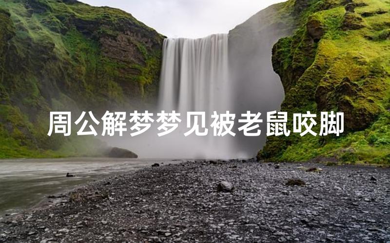 老鼠咬的解梦意义_梦见被老鼠咬了是什么意思_梦见被老鼠咬