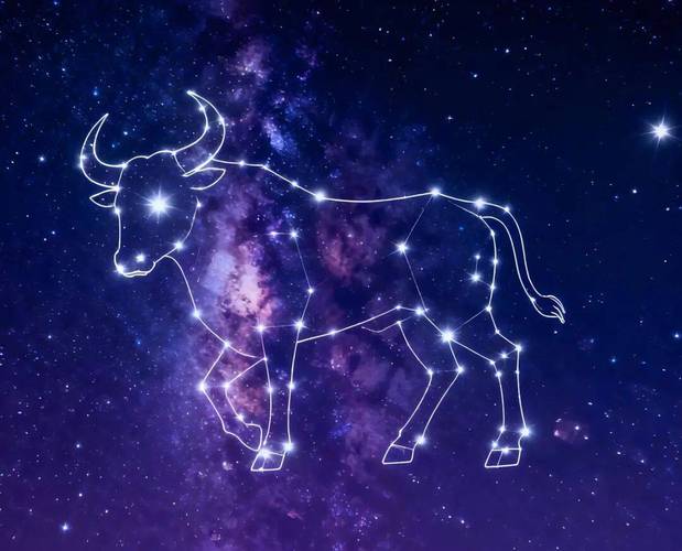 金牛座金星守护星_金星对金牛座的影响_金牛座守护星