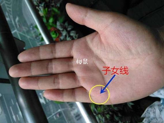 时柱子女星分析_八字看子女口诀_八字看子女口诀